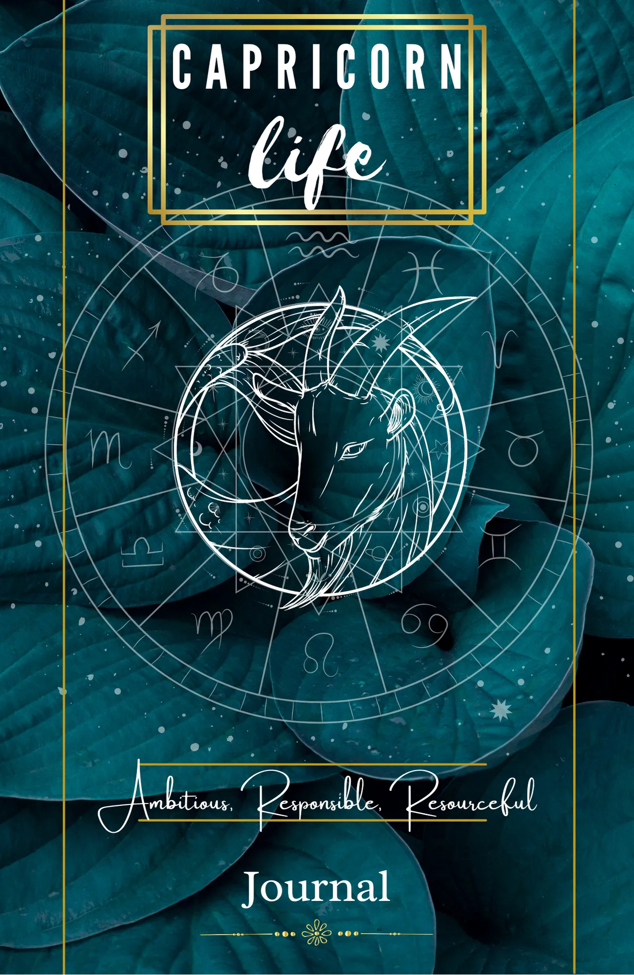 Capricorn Journal cover